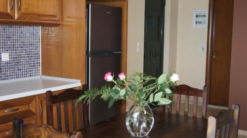 ニキアナにあるEpiskopos Apartmentsの台所のテーブルの花瓶
