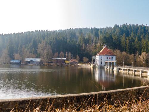 a house in the middle of a body of water at Ferienhaus Nr 18B1, Feriendorf Hagbügerl, Bayr Wald in Waldmünchen