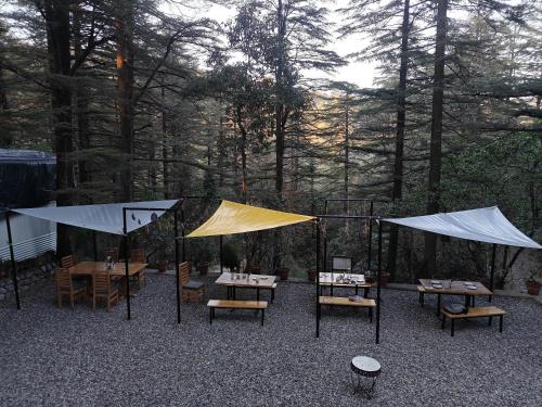 a group of tables and umbrellas with trees in the background at Treetop Glamps in Mussoorie