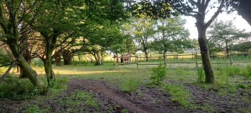 a field with trees and a fence in the background at Vergroening in IJzendijke