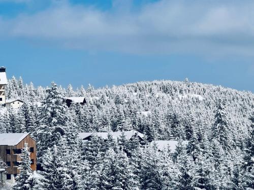 a mountain covered in snow with houses and trees at NORDIC Apartamente Păltiniș in Păltiniş