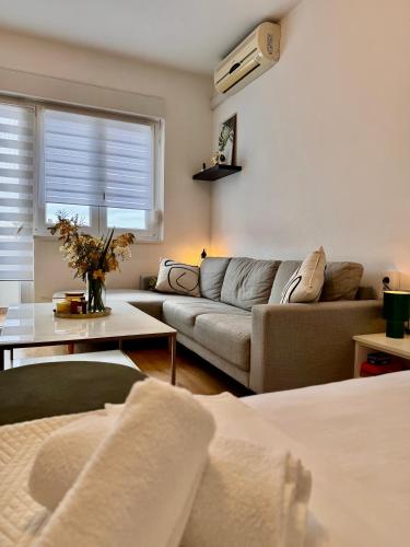 Cozy studio with sunny terrace