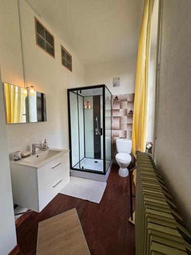 une salle de bain avec toilettes et douche en verre dans l'établissement Belle Maison de Maitre avec jardin, à Coulonces