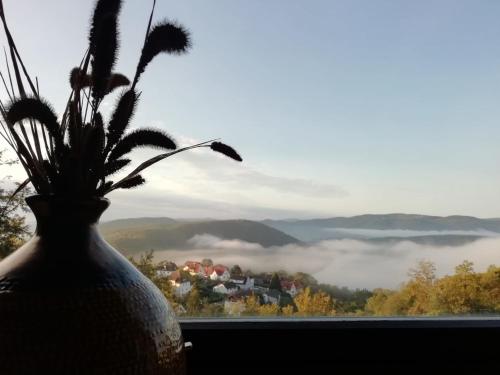 a vase with a plant in a window with a view at Haus Blick am Edersee 13 p in Waldeck