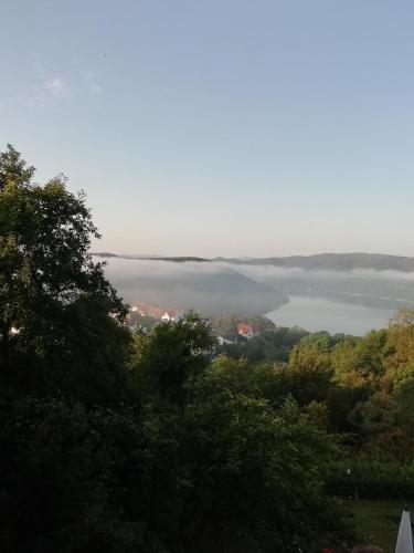 a view of a lake from a hill with trees at Haus Blick am Edersee 13 p in Waldeck