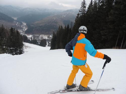 a man on skis in the snow on a mountain at Penzión Pod Guglom in Mlynky 
