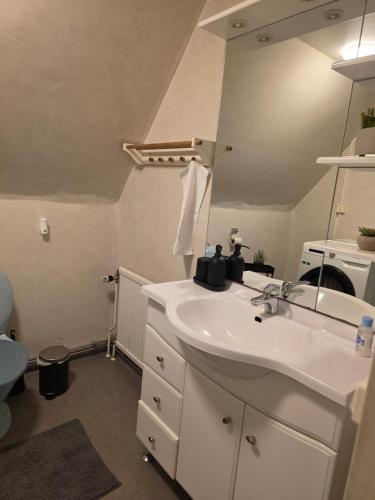 a bathroom with a white sink and a mirror at Hyllstofta lägenhet in Klippan