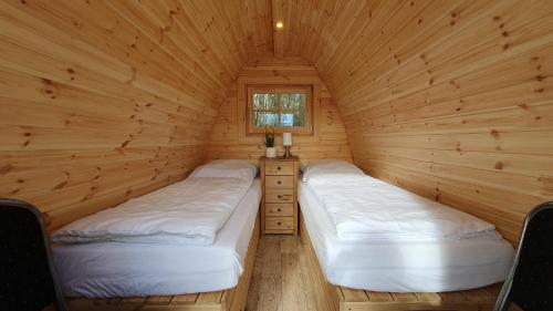 two beds in a log cabin with a window at 31 Familien Premium Pods "Spiekeroog" in Silberstedt