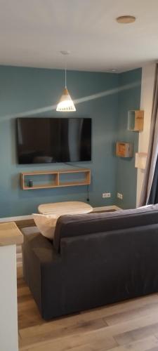 TV a/nebo společenská místnost v ubytování Le petit coin d'Ina
