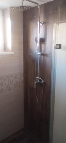 a shower with a glass door in a bathroom at Privat Ludmila in Liptovská Teplička