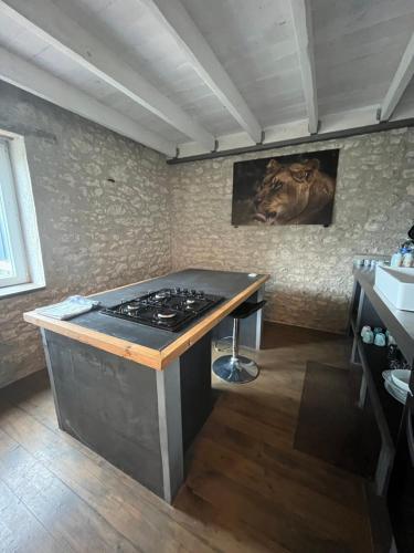 - une cuisine avec une cuisinière et un chien sur le mur dans l'établissement Les gîtes de Lou, entre Blois et Chambord, à La Chapelle-Saint-Martin-en-Plaine
