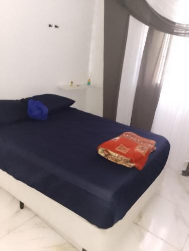 a bedroom with a bed with blue sheets and a pillow at Casinha da Alê in Mongaguá