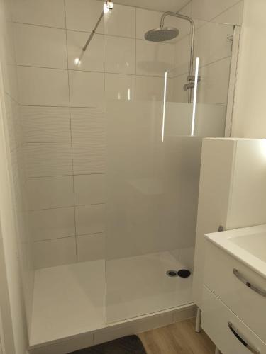 une douche avec une porte vitrée dans une salle de bain dans l'établissement Charmant appartement T1 bis, à Nantes