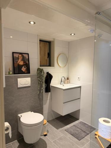 a bathroom with a toilet and a sink and a shower at B&B Het Molenhuisje Winschoten - met woonkamer & keuken in Winschoten
