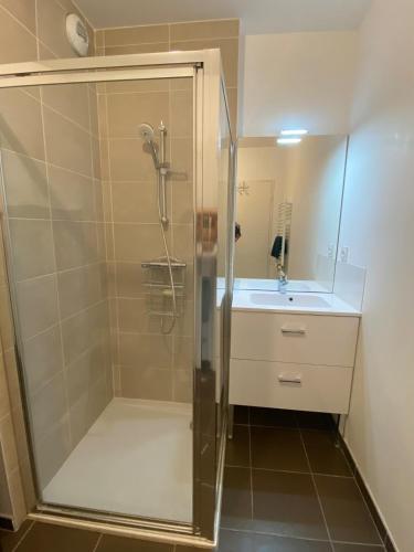 une salle de bain avec douche et lavabo dans l'établissement L'Artisane, duplex lumineux en bord de Vilaine, à Rennes