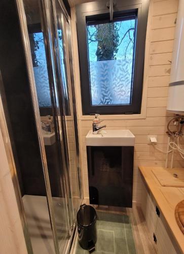 アヴリイエにあるTiny Houseのシャワーと洗面台付きのバスルーム