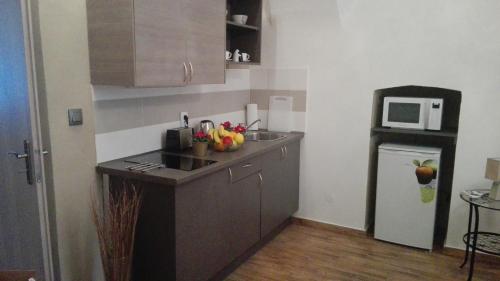 Η κουζίνα ή μικρή κουζίνα στο Apartment Jakubská 676