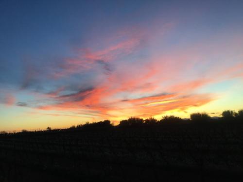 un coucher de soleil sur un champ avec une clôture au premier plan dans l'établissement La petite maison dans la montagne, à La Salvetat-sur-Agout