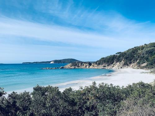 a view of a beach with trees and the ocean at La villetta di Kelly in Simius