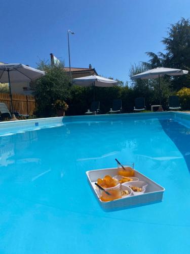 Πισίνα στο ή κοντά στο Hotel Belvedere