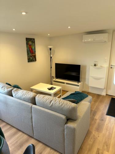 Fully-equipped new apartment