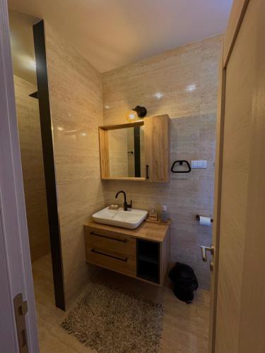 ein Badezimmer mit Waschbecken und Spiegel in der Unterkunft Lex apartment in Belgrad
