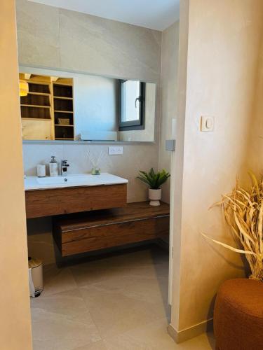 une salle de bain avec un lavabo et un miroir dans l'établissement Le domaine d Isa piscine et Spa, à Vienville