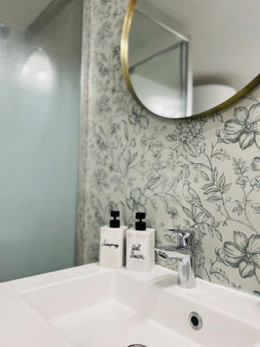 une salle de bain avec un lavabo et un miroir dans l'établissement Villa cosy à Palavas-les-Flots, à Palavas-les-Flots