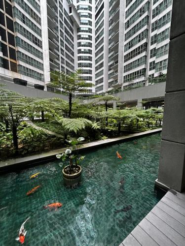 a large pool of water in a city with buildings at Stay at Regalia KLCC View Sky Pool in Kuala Lumpur