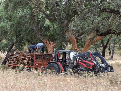 two men are loading a pile of wood onto a tractor at Monte do Roque in Évora Monte
