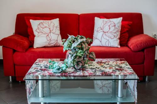 Gallery image of Moenia Apartments in Milna