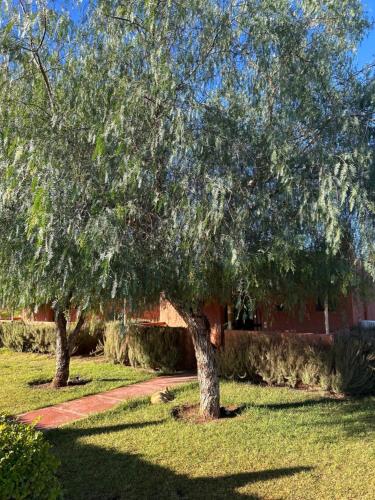 Taman di luar Les Orangers De l'Ourika