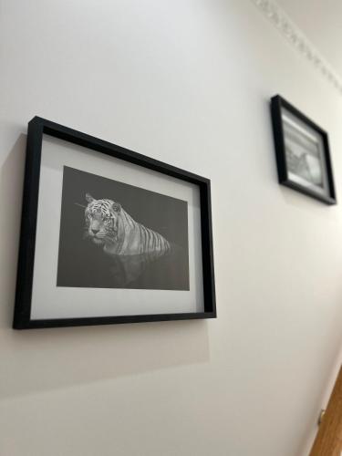 Galería fotográfica de Matteo Suite Holidays en Manfredonia