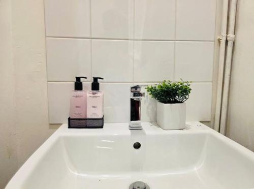 a bathroom sink with two bottles of soap and a plant at Detached Three Bedroom House in Ashford Secure Area in Kent