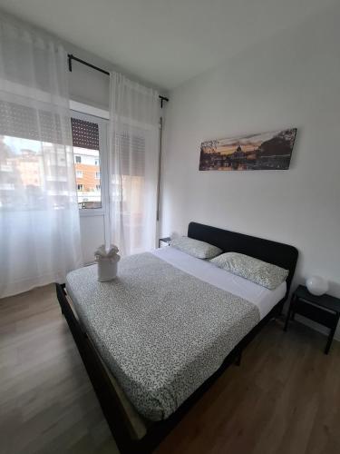 Luma rooms