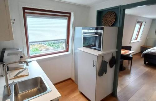 Η κουζίνα ή μικρή κουζίνα στο KNUS tiny gardenhouse