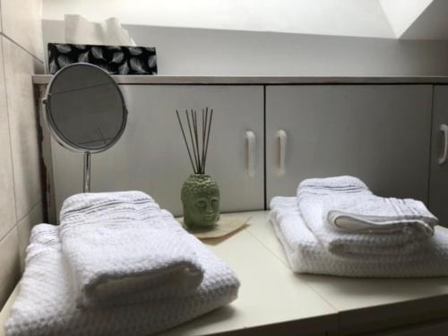 a bathroom with two towels and a mirror on a counter at Brühl, FeWo am Heider Bergsee - 3 Sterne DTV in Brühl
