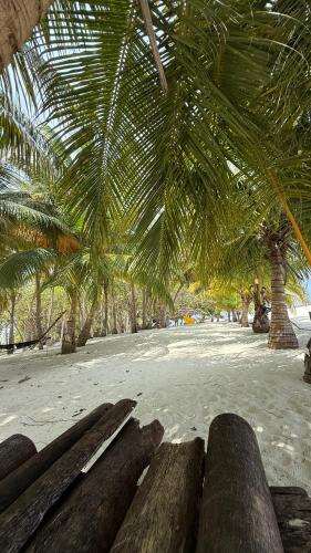 a view of a beach with palm trees in the background at Fishing in Maldives in Utim