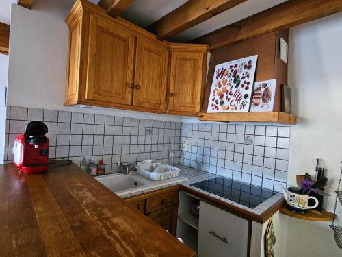 a kitchen with wooden cabinets and a counter top at Maison abelias soustons plage in Soustons