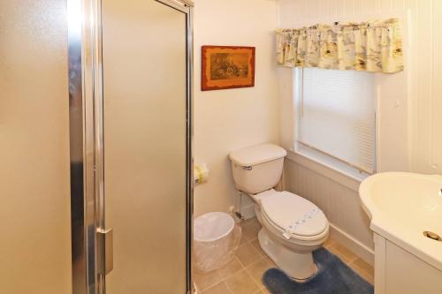 a bathroom with a toilet and a sink and a shower at Blue Point - Pet friendly with Outdoor shower! in Chincoteague
