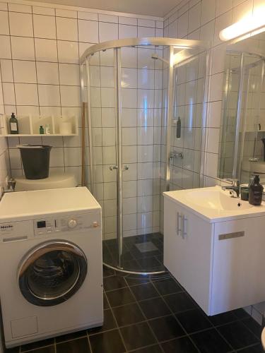 a bathroom with a washing machine and a sink at Leilighet i 1 etg Røldal in Håra