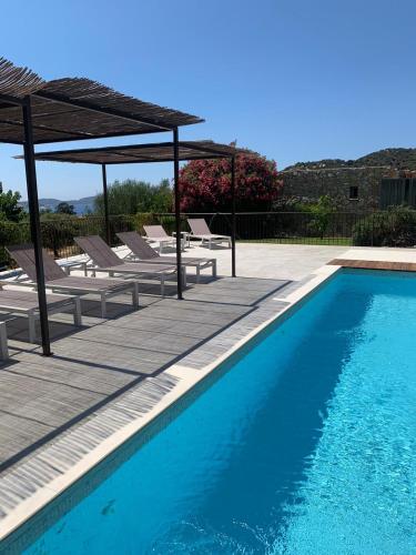 a swimming pool with chaise lounge chairs and ahaps at Clos des Oliviers in Lumio