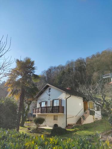 a white house with a palm tree in front of it at Palmehüüsle in Herten