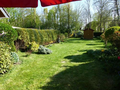 a garden with a grass yard with bushes and trees at Ferienhaus 1260 in Tossens in Tossenserdeich