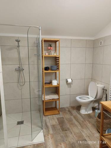 une salle de bain avec douche et toilettes dans l'établissement Bord de mer, pieds dans l'eau, vue panoramique, à San-Nicolao