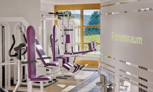 a gym with a row of treadmills at Apart Hotel am Sonnenhügel in Bad Birnbach