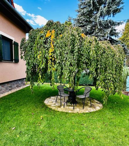 a table and chairs under a large tree with sunflowers at Apartment Happy Days Szombathely in Szombathely