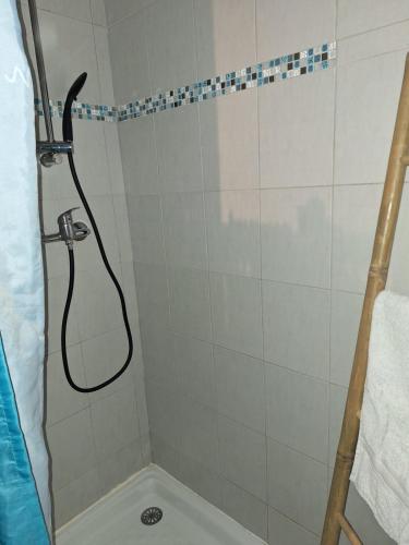 a shower with a shower head in a bathroom at Au Cœur De Chateaubriant WIFI-Centre-Ville-RDC in Châteaubriant