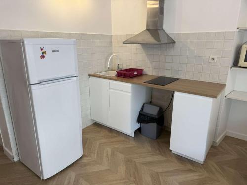 une cuisine avec un réfrigérateur blanc et un comptoir dans l'établissement Charmant studio cours Paoli, à Corte