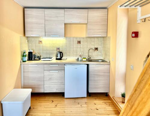 Dapur atau dapur kecil di Baltezers Lodge